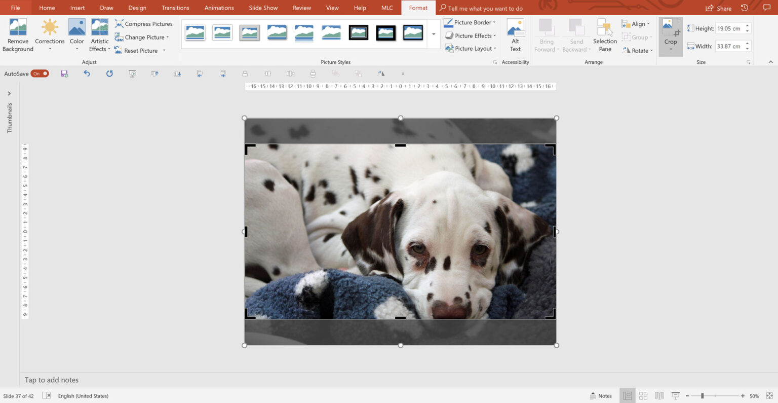 PowerPoint image cropped to fill a 16:9 slide without distortion